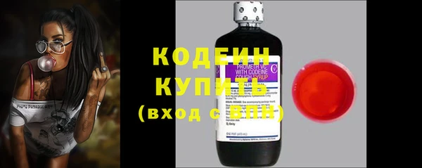 индика Нефтегорск