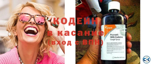 индика Нефтегорск