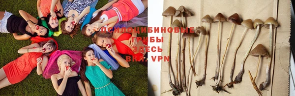 соль ск Нефтекумск