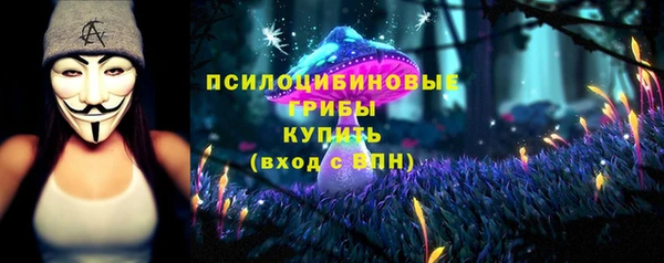 индика Нефтегорск