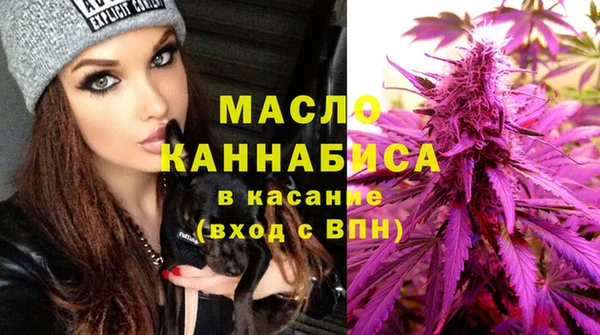 индика Нефтегорск