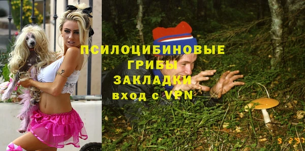 соль ск Нефтекумск