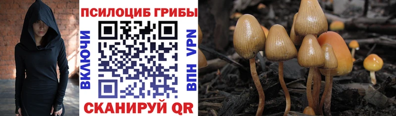 Галлюциногенные грибы Magic Shrooms Саратов