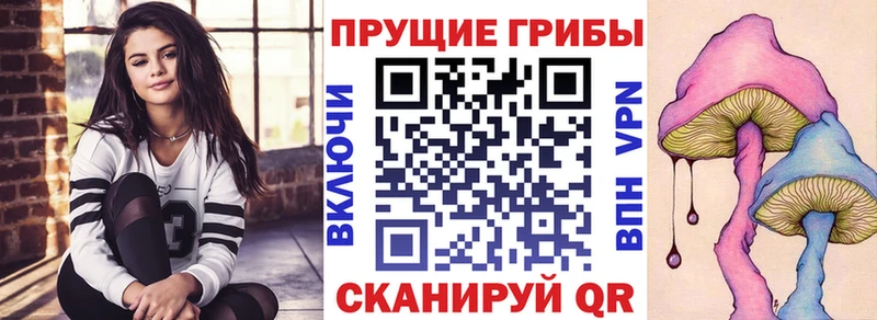Галлюциногенные грибы Magic Shrooms Саратов