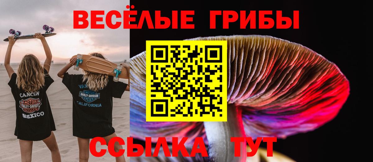 Псилоцибиновые грибы Psilocybe Саратов