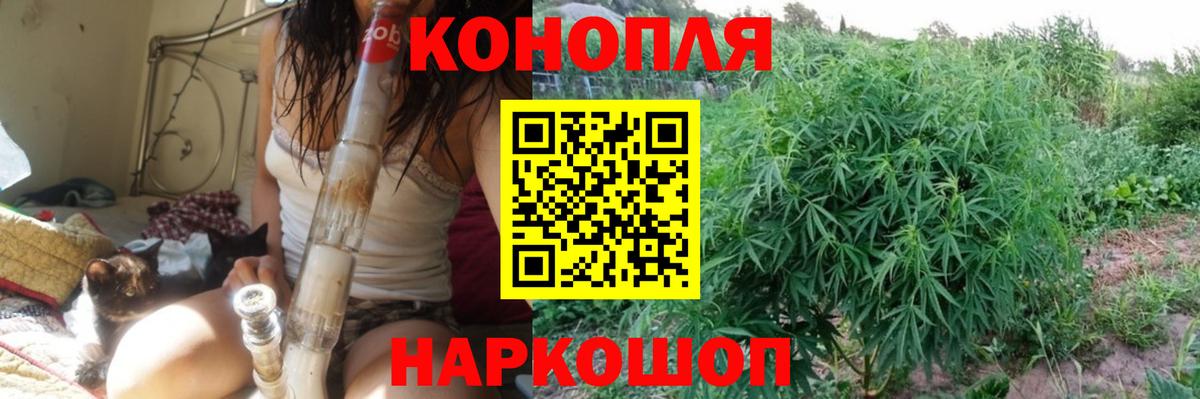 Конопля сатива Саратов